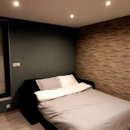 Preiz'age De...bien-etre...balneotherapie Apartment Troyes